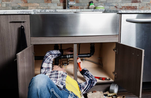 Best Clogged Drain Plumber  in Fremont, OH